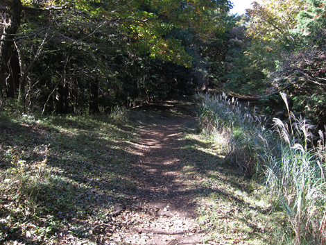 20201105hike (96)